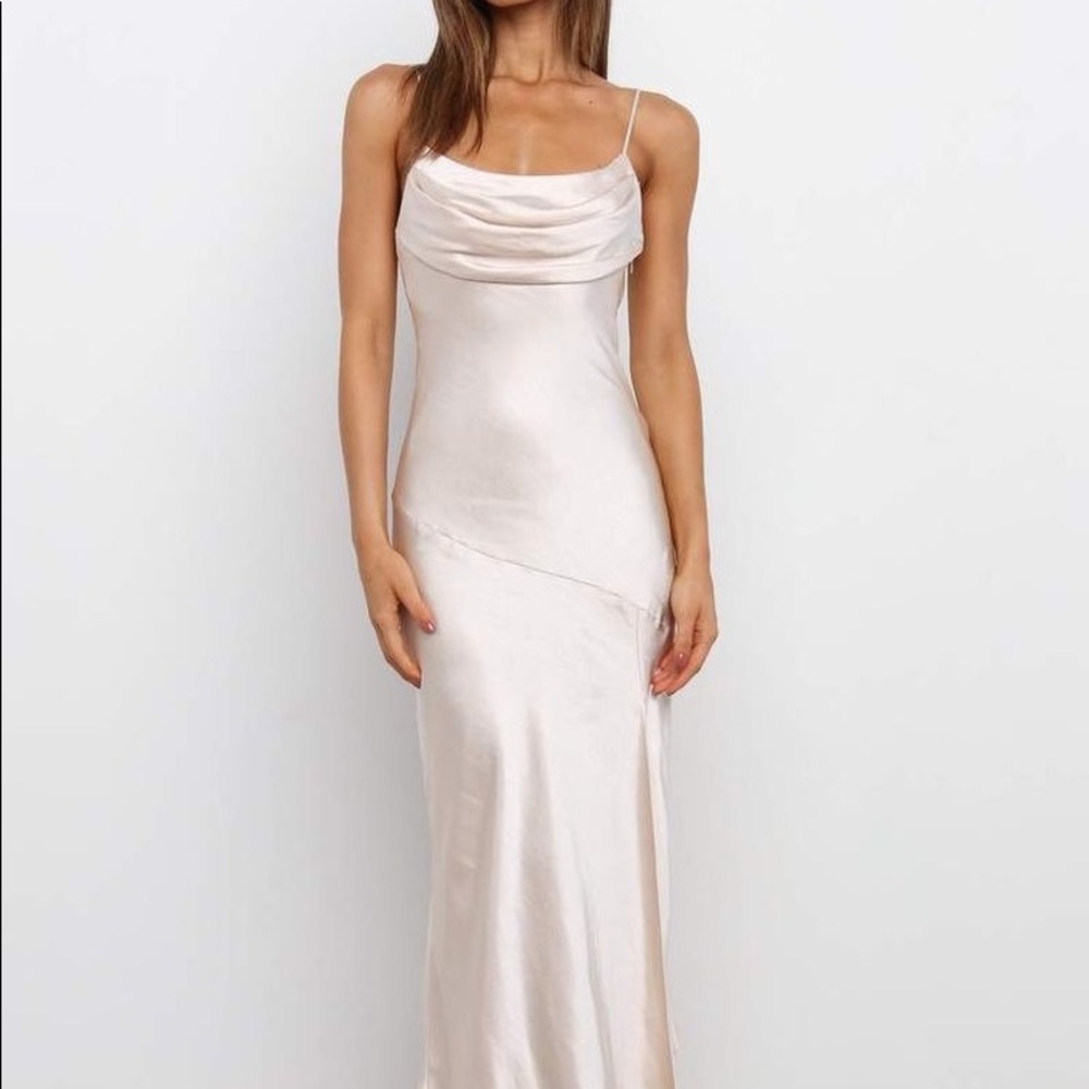 Petal and Pup Champagne Dress